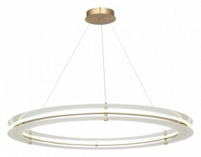 Подвесной светильник ST-Luce FAGY SL6245.213.01 в Муравленко - muravlenko.ok-mebel.com | фото 4