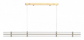 Подвесной светильник ST-Luce FAGY SL6245.223.01 в Муравленко - muravlenko.ok-mebel.com | фото 3