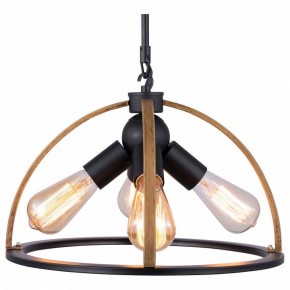 Подвесной светильник TopLight Jasmin TL1179H-04BK в Муравленко - muravlenko.ok-mebel.com | фото