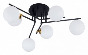 Потолочная люстра Arte Lamp Gemini A2243PL-6BK в Муравленко - muravlenko.ok-mebel.com | фото