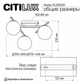 Потолочная люстра Citilux Dorsy CL223131 в Муравленко - muravlenko.ok-mebel.com | фото 11