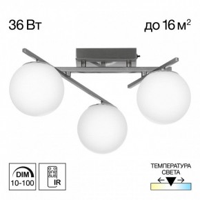 Потолочная люстра Citilux Dorsy CL223131 в Муравленко - muravlenko.ok-mebel.com | фото 3
