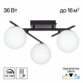 Потолочная люстра Citilux Dorsy CL223132 в Муравленко - muravlenko.ok-mebel.com | фото 10