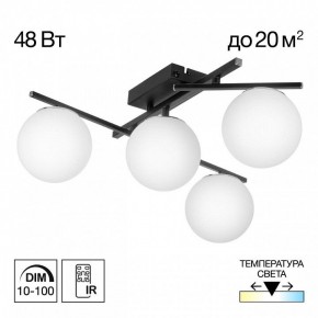 Потолочная люстра Citilux Dorsy CL223142 в Муравленко - muravlenko.ok-mebel.com | фото 9