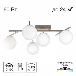 Потолочная люстра Citilux Dorsy CL223151 в Муравленко - muravlenko.ok-mebel.com | фото 2