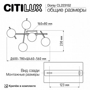 Потолочная люстра Citilux Dorsy CL223152 в Муравленко - muravlenko.ok-mebel.com | фото 10