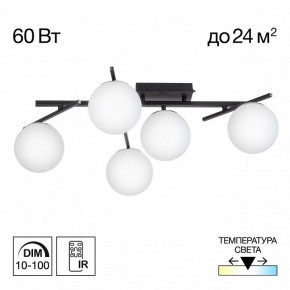 Потолочная люстра Citilux Dorsy CL223152 в Муравленко - muravlenko.ok-mebel.com | фото 2