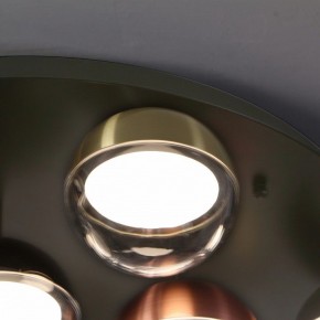 Потолочная люстра Favourite Luna 4371-12C в Муравленко - muravlenko.ok-mebel.com | фото 2