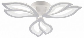 Потолочная люстра Natali Kovaltseva FORTUNA LED LAMPS 81107/2C в Муравленко - muravlenko.ok-mebel.com | фото