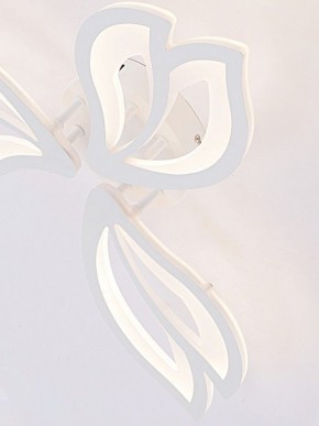 Потолочная люстра Natali Kovaltseva FORTUNA LED LAMPS 81107/2C в Муравленко - muravlenko.ok-mebel.com | фото 11