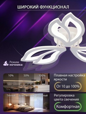 Потолочная люстра Natali Kovaltseva FORTUNA LED LAMPS 81107/2C в Муравленко - muravlenko.ok-mebel.com | фото 5