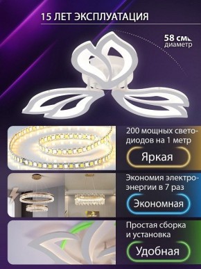 Потолочная люстра Natali Kovaltseva FORTUNA LED LAMPS 81107/2C в Муравленко - muravlenko.ok-mebel.com | фото 6