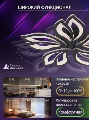 Потолочная люстра Natali Kovaltseva FORTUNA LED LAMPS 81107/5C в Муравленко - muravlenko.ok-mebel.com | фото 6
