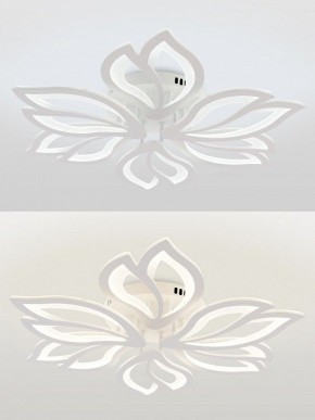 Потолочная люстра Natali Kovaltseva FORTUNA LED LAMPS 81107/6C в Муравленко - muravlenko.ok-mebel.com | фото 4
