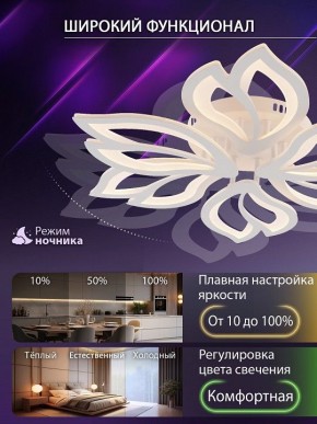 Потолочная люстра Natali Kovaltseva FORTUNA LED LAMPS 81107/6C в Муравленко - muravlenko.ok-mebel.com | фото 6