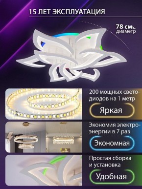 Потолочная люстра Natali Kovaltseva OLIMP LED LAMPS 81435 в Муравленко - muravlenko.ok-mebel.com | фото 5