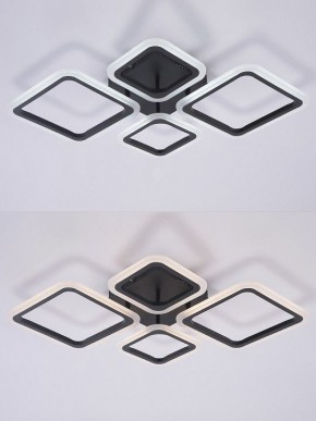 Потолочная люстра Natali Kovaltseva OPTI LED LAMPS 81108/2C в Муравленко - muravlenko.ok-mebel.com | фото 4
