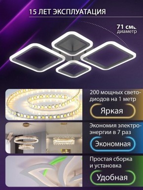 Потолочная люстра Natali Kovaltseva OPTI LED LAMPS 81108/2C в Муравленко - muravlenko.ok-mebel.com | фото 5