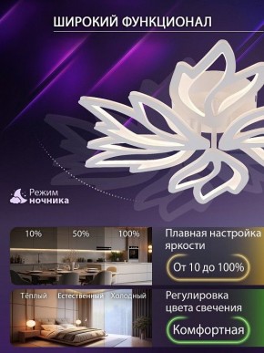 Потолочная люстра Natali Kovaltseva RIF LED LAMPS 81118/5C в Муравленко - muravlenko.ok-mebel.com | фото 6