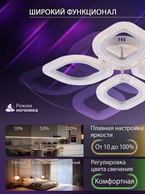 Потолочная люстра Natali Kovaltseva SM LED LAMPS 81455 в Муравленко - muravlenko.ok-mebel.com | фото 6