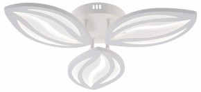 Потолочная люстра Natali Kovaltseva SM LED LAMPS 81456 в Муравленко - muravlenko.ok-mebel.com | фото