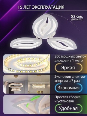 Потолочная люстра Natali Kovaltseva SM LED LAMPS 81456 в Муравленко - muravlenko.ok-mebel.com | фото 5