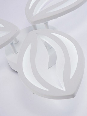 Потолочная люстра Natali Kovaltseva SM LED LAMPS 81456 в Муравленко - muravlenko.ok-mebel.com | фото 8