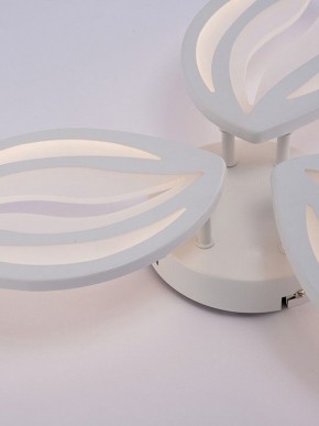 Потолочная люстра Natali Kovaltseva SM LED LAMPS 81456 в Муравленко - muravlenko.ok-mebel.com | фото 9