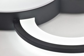 Потолочная люстра Rivoli Aliona Б0066452 в Муравленко - muravlenko.ok-mebel.com | фото 10