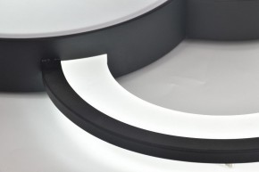 Потолочная люстра Rivoli Aliona Б0066452 в Муравленко - muravlenko.ok-mebel.com | фото 12