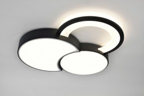 Потолочная люстра Rivoli Aliona Б0066452 в Муравленко - muravlenko.ok-mebel.com | фото 7