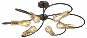 Потолочная люстра Vitaluce V3076 V3076-1/6PL в Муравленко - muravlenko.ok-mebel.com | фото 3