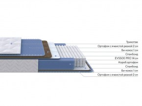 PROxSON Матрас Active Comfort M (Ткань Трикотаж Эко) 80x195 в Муравленко - muravlenko.ok-mebel.com | фото 3