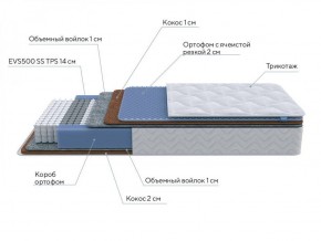 PROxSON Матрас Active Duo M/F (Ткань Трикотаж Эко) 120x190 в Муравленко - muravlenko.ok-mebel.com | фото 6