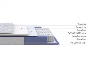 PROxSON Матрас Active Duo S/F (Ткань Трикотаж Эко) 80x195 в Муравленко - muravlenko.ok-mebel.com | фото 2