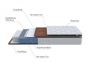 PROxSON Матрас Active F (Ткань Трикотаж Эко) 120x200 в Муравленко - muravlenko.ok-mebel.com | фото 6