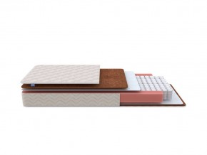 PROxSON Матрас Base M Roll (Ткань Синтетический жаккард) 160x195 в Муравленко - muravlenko.ok-mebel.com | фото