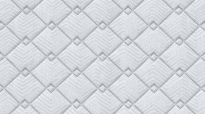 PROxSON Матрас Standart Plus M (Ткань Жаккард) 120x190 в Муравленко - muravlenko.ok-mebel.com | фото 9