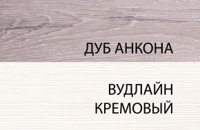 Шкаф 1DG, OLIVIA, цвет вудлайн крем/дуб анкона в Муравленко - muravlenko.ok-mebel.com | фото 3