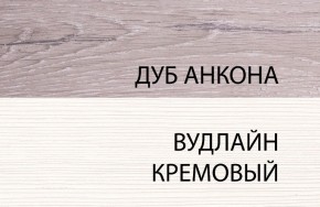 Шкаф 1DZ, OLIVIA, цвет вудлайн крем/дуб анкона в Муравленко - muravlenko.ok-mebel.com | фото 3