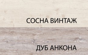 Шкаф 2D1S, MONAKO, цвет Сосна винтаж/дуб анкона в Муравленко - muravlenko.ok-mebel.com | фото