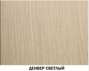 Шкаф для одежды №609 "Инна" Денвер светлый (*без полок) в Муравленко - muravlenko.ok-mebel.com | фото 4