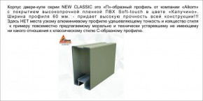 Шкаф-купе 1700 серии NEW CLASSIC K6Z+K6+B2+PL3 (2 ящика+2 штанги) профиль «Капучино» в Муравленко - muravlenko.ok-mebel.com | фото 17