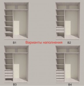 Шкаф-купе 1700 серии SILVER S4+S3Z+B2+PL1 (2 ящика+1 штанга) профиль «Серебро» в Муравленко - muravlenko.ok-mebel.com | фото 5