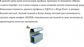 Шкаф-купе 2250 серии SILVER S3+S1+S3Z B22+PL2 (по 2 ящика лев/прав+1штанга+1 полка) профиль «Серебро» в Муравленко - muravlenko.ok-mebel.com | фото 4