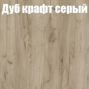 Шкаф-купе Эдем 1.5 (Дуб Крафт серый/Бетонный камень) двери ЛДСП в Муравленко - muravlenko.ok-mebel.com | фото 4