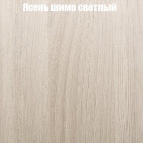 Шкаф-купе «ТАНДЕМ» 2-х дверный в алюминиевом профиле (Дверь К+К) 1200/h2200 в Муравленко - muravlenko.ok-mebel.com | фото 6