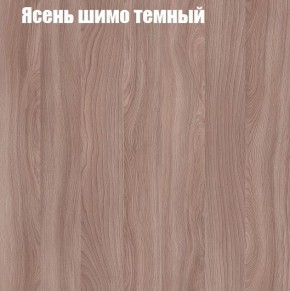Шкаф-купе «ТАНДЕМ» 2-х дверный в алюминиевом профиле (Дверь К+К) 1200/h2200 в Муравленко - muravlenko.ok-mebel.com | фото 7