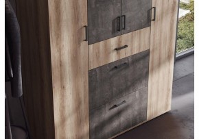 Шкаф платяной Паркинс в Муравленко - muravlenko.ok-mebel.com | фото 3