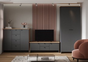 Шкаф платяной Теодора в Муравленко - muravlenko.ok-mebel.com | фото 3